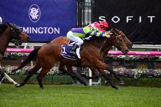 I Am A Star (NZ) taking home the G2 Let's Elope Stakes at Flemington. 